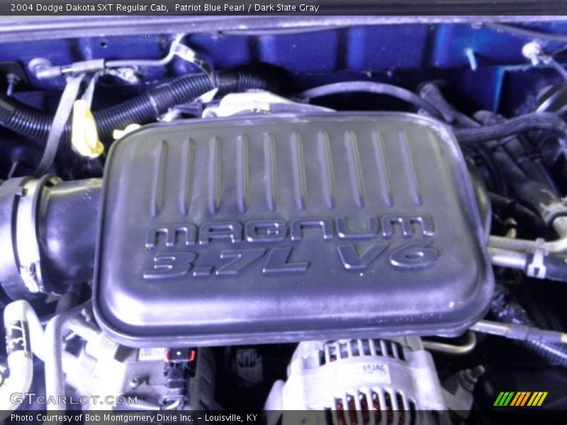 Patriot Blue Pearl / Dark Slate Gray 2004 Dodge Dakota SXT Regular Cab