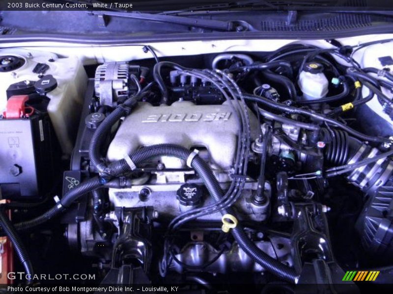White / Taupe 2003 Buick Century Custom