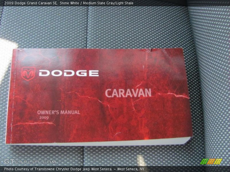 Stone White / Medium Slate Gray/Light Shale 2009 Dodge Grand Caravan SE