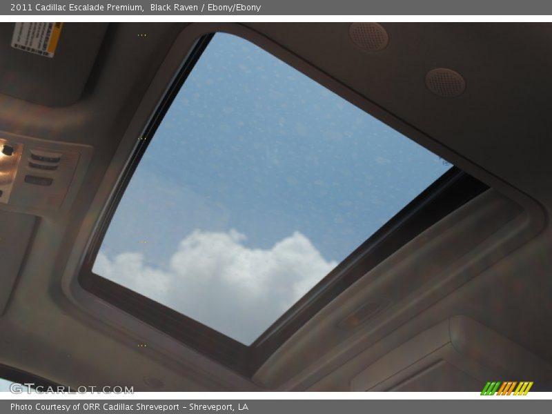 Black Raven / Ebony/Ebony 2011 Cadillac Escalade Premium