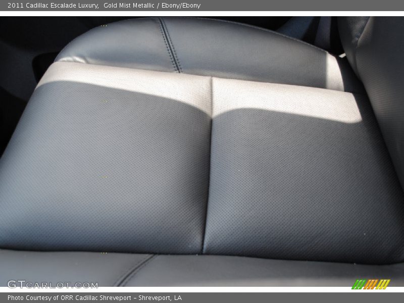 Gold Mist Metallic / Ebony/Ebony 2011 Cadillac Escalade Luxury