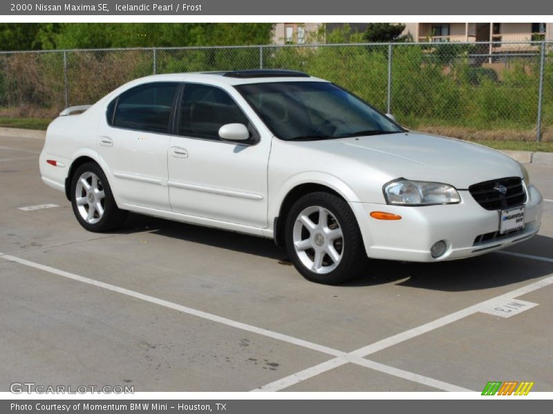 Icelandic Pearl / Frost 2000 Nissan Maxima SE