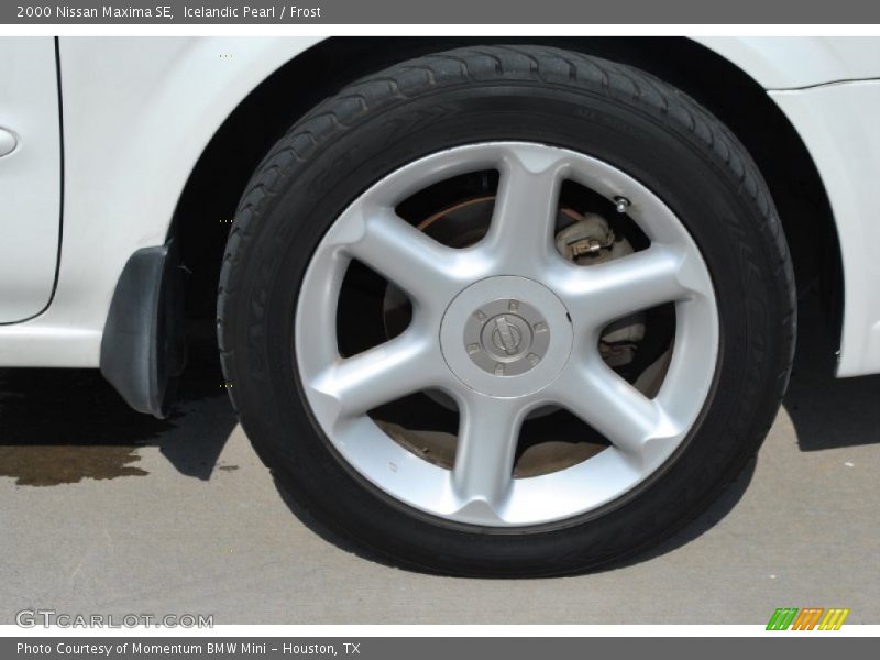 Icelandic Pearl / Frost 2000 Nissan Maxima SE