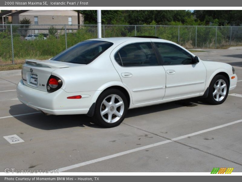 Icelandic Pearl / Frost 2000 Nissan Maxima SE