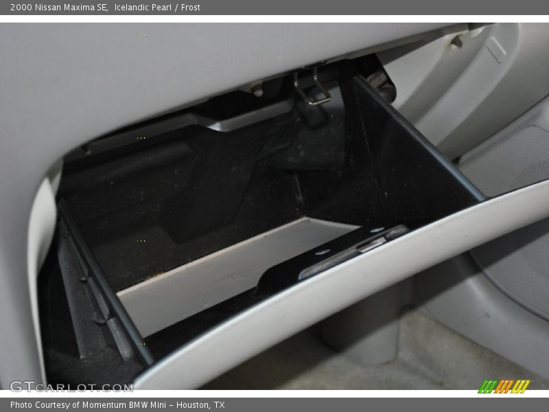 Icelandic Pearl / Frost 2000 Nissan Maxima SE
