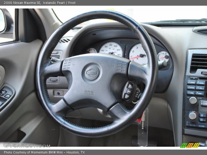 Icelandic Pearl / Frost 2000 Nissan Maxima SE