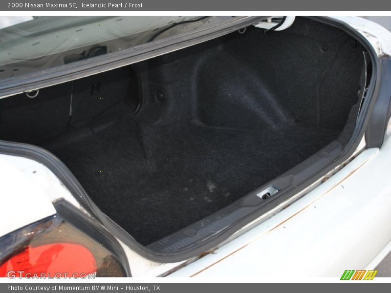 Icelandic Pearl / Frost 2000 Nissan Maxima SE