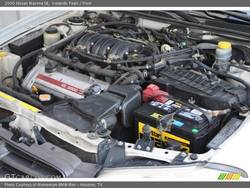 Icelandic Pearl / Frost 2000 Nissan Maxima SE