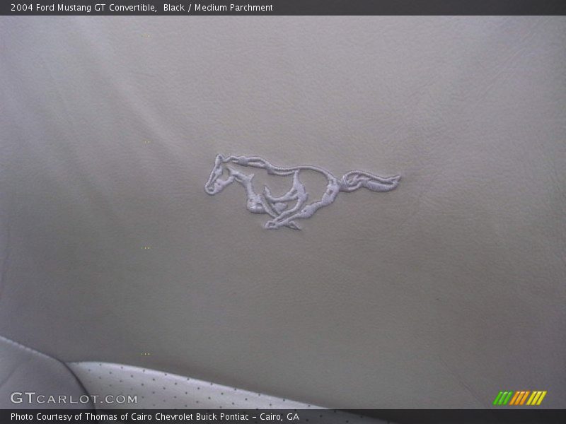 Black / Medium Parchment 2004 Ford Mustang GT Convertible
