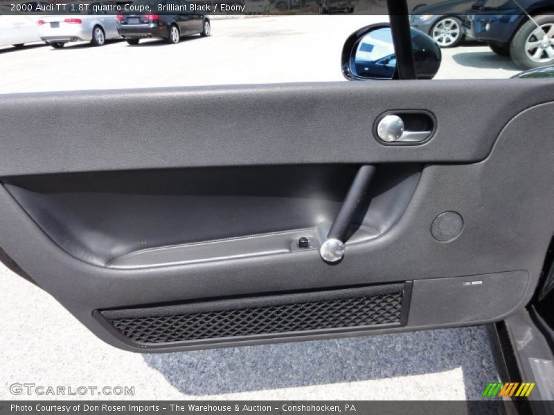 Door Panel of 2000 TT 1.8T quattro Coupe