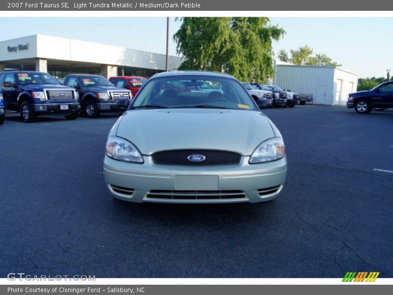 Light Tundra Metallic / Medium/Dark Pebble 2007 Ford Taurus SE