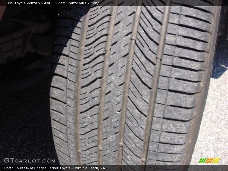 Sunset Bronze Mica / Ivory 2009 Toyota Venza V6 AWD