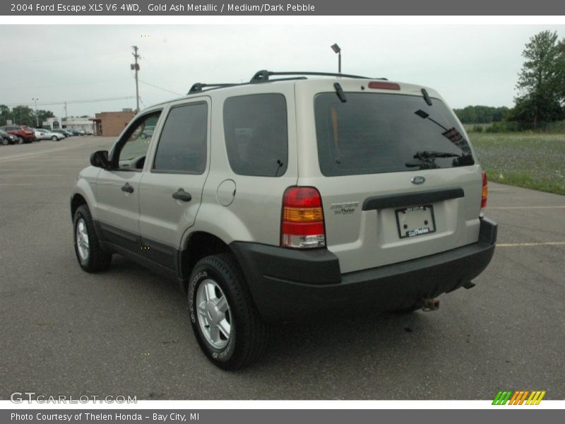 Gold Ash Metallic / Medium/Dark Pebble 2004 Ford Escape XLS V6 4WD