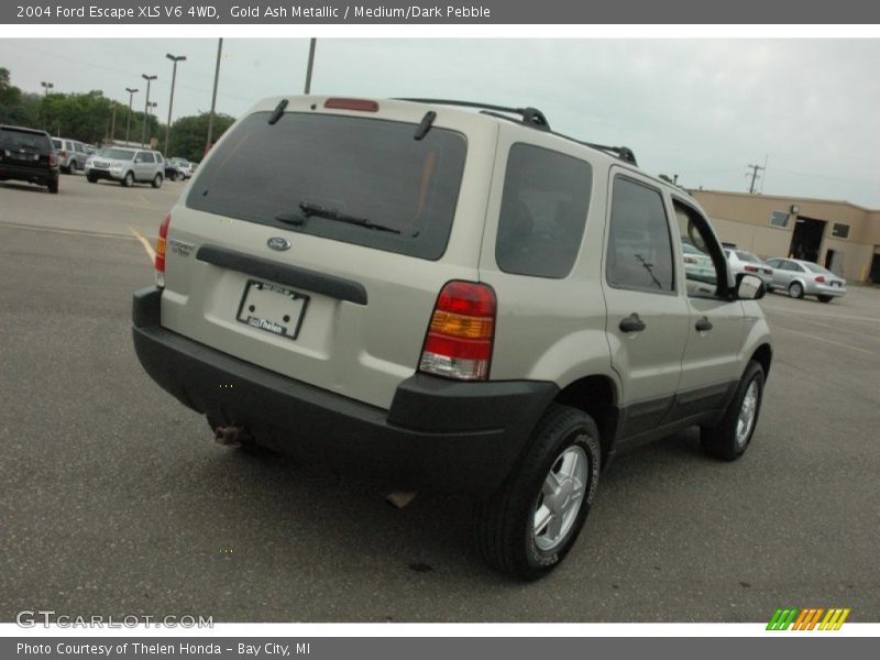Gold Ash Metallic / Medium/Dark Pebble 2004 Ford Escape XLS V6 4WD
