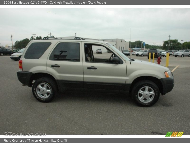  2004 Escape XLS V6 4WD Gold Ash Metallic