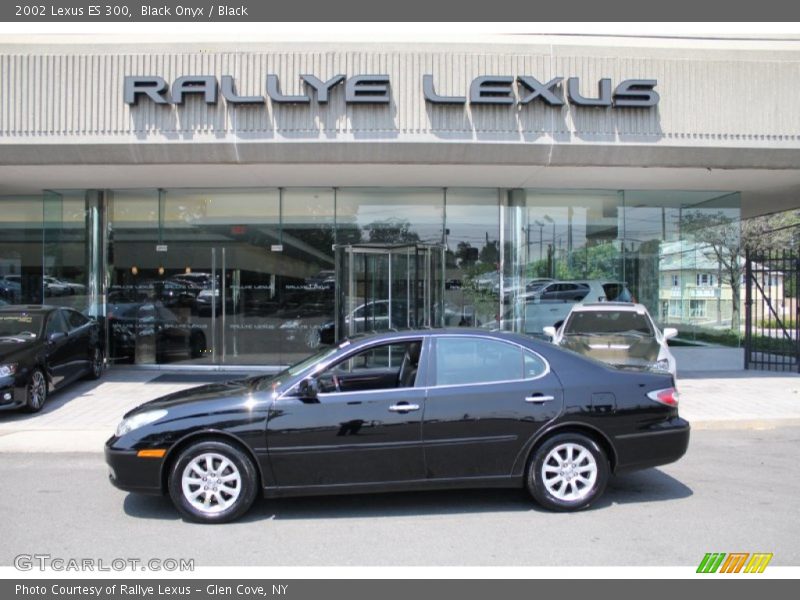 Black Onyx / Black 2002 Lexus ES 300