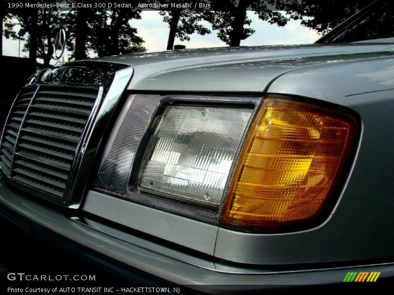 Astro Silver Metallic / Blue 1990 Mercedes-Benz E Class 300 D Sedan