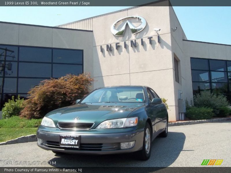 Woodland Green Pearl / Sage 1999 Lexus ES 300