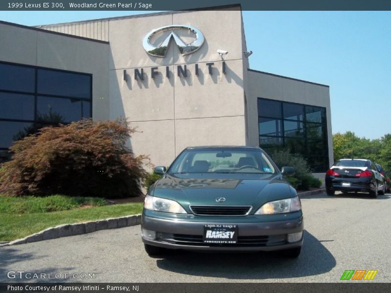 Woodland Green Pearl / Sage 1999 Lexus ES 300