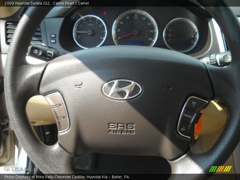 Camel Pearl / Camel 2009 Hyundai Sonata GLS
