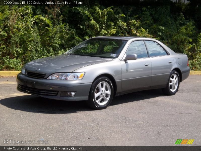 Antique Sage Pearl / Sage 2000 Lexus ES 300 Sedan