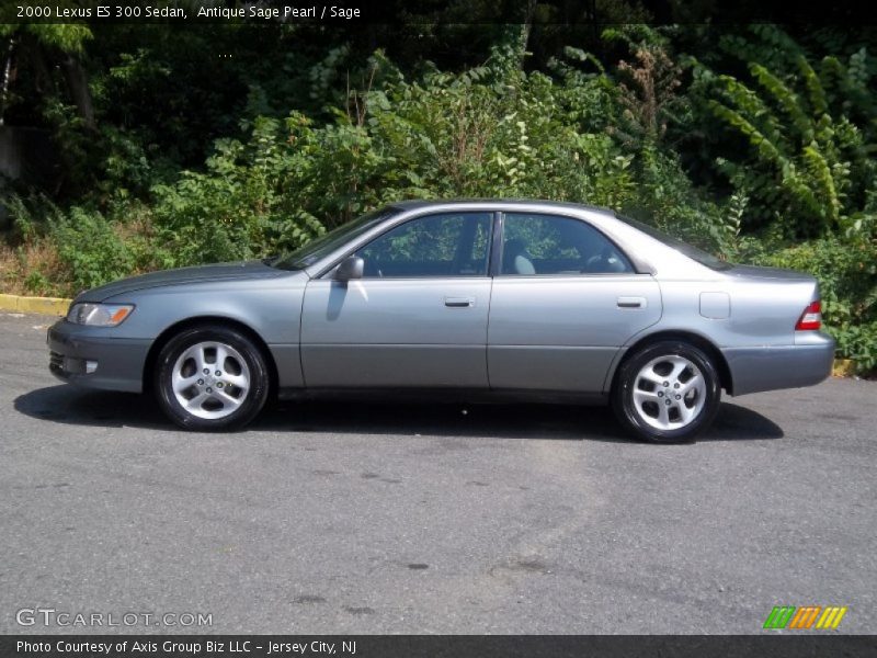 Antique Sage Pearl / Sage 2000 Lexus ES 300 Sedan