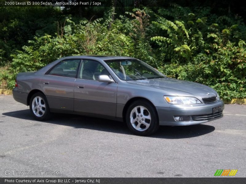 Antique Sage Pearl / Sage 2000 Lexus ES 300 Sedan
