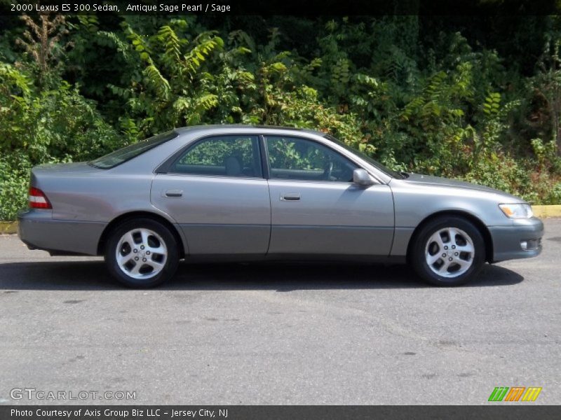 Antique Sage Pearl / Sage 2000 Lexus ES 300 Sedan