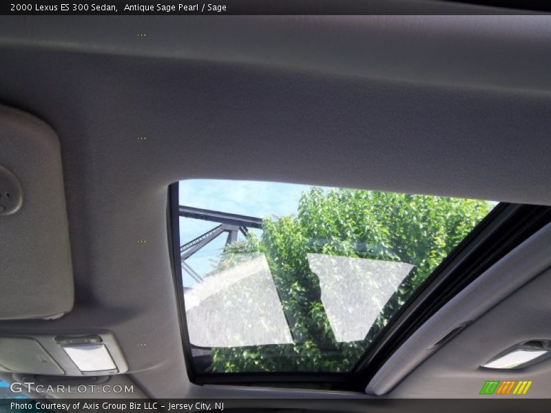 Antique Sage Pearl / Sage 2000 Lexus ES 300 Sedan