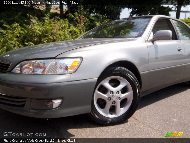 Antique Sage Pearl / Sage 2000 Lexus ES 300 Sedan