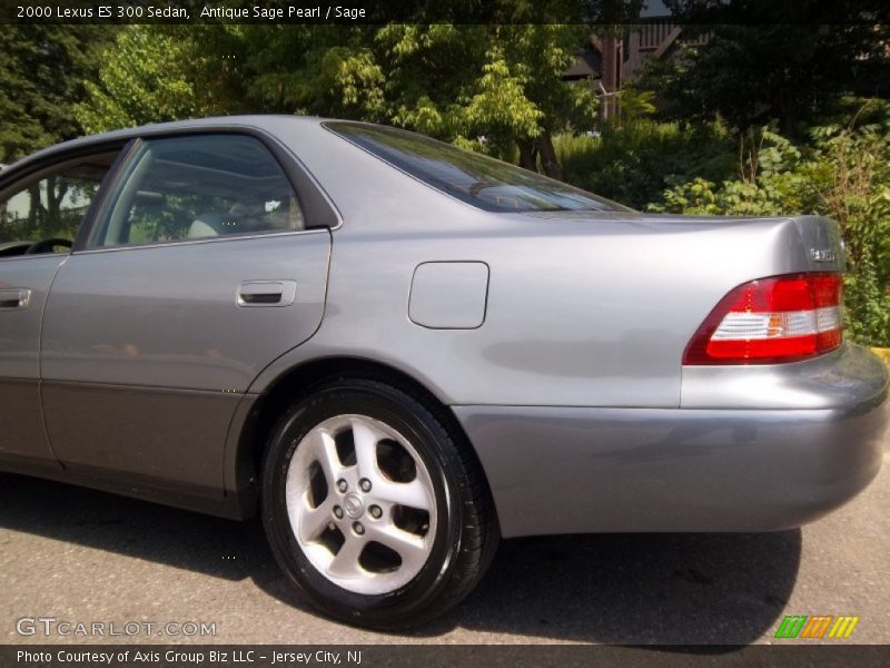Antique Sage Pearl / Sage 2000 Lexus ES 300 Sedan