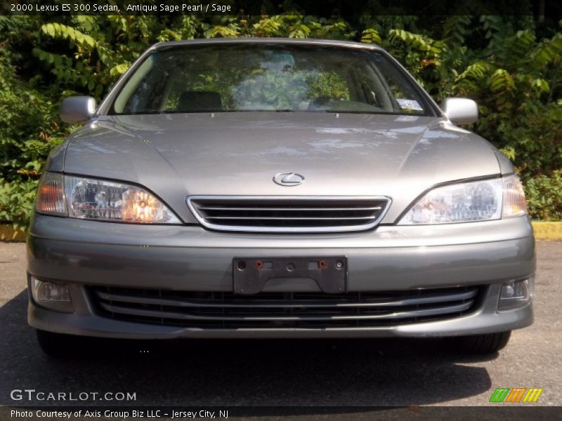 Antique Sage Pearl / Sage 2000 Lexus ES 300 Sedan