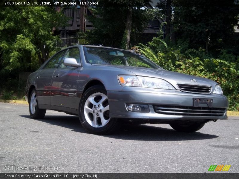 Antique Sage Pearl / Sage 2000 Lexus ES 300 Sedan