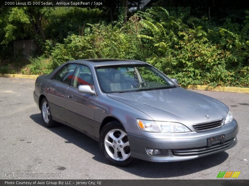 Antique Sage Pearl / Sage 2000 Lexus ES 300 Sedan