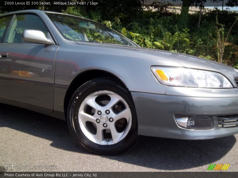 Antique Sage Pearl / Sage 2000 Lexus ES 300 Sedan