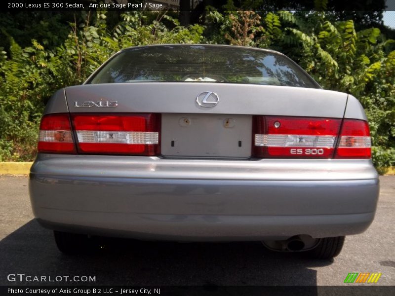 Antique Sage Pearl / Sage 2000 Lexus ES 300 Sedan