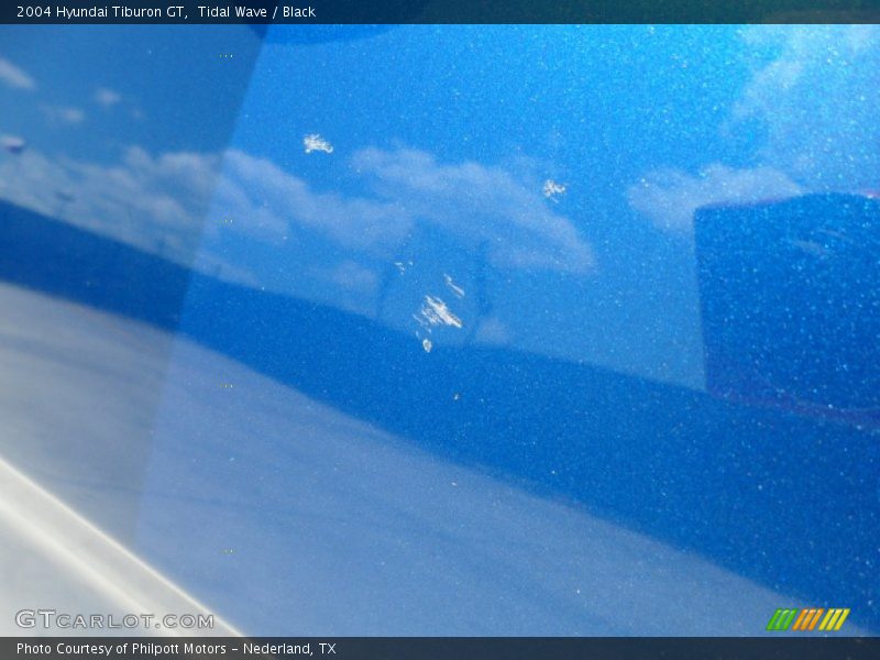 Tidal Wave / Black 2004 Hyundai Tiburon GT