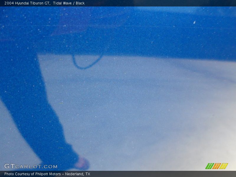 Tidal Wave / Black 2004 Hyundai Tiburon GT
