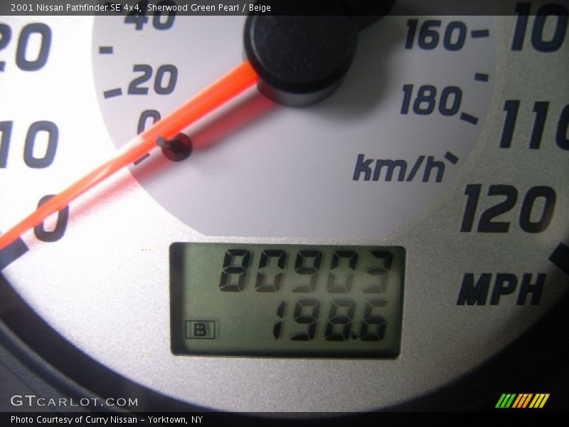 Sherwood Green Pearl / Beige 2001 Nissan Pathfinder SE 4x4