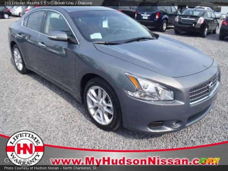 Ocean Gray / Charcoal 2011 Nissan Maxima 3.5 SV