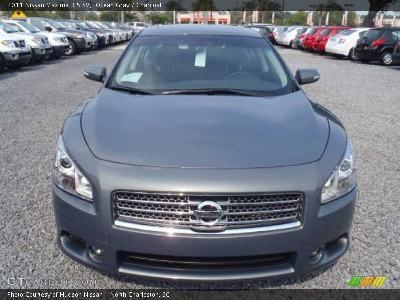 Ocean Gray / Charcoal 2011 Nissan Maxima 3.5 SV