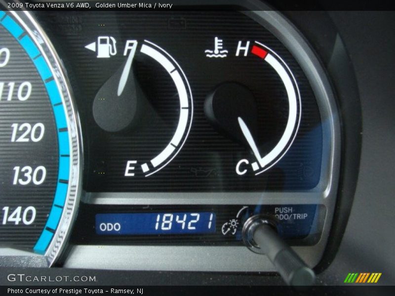Golden Umber Mica / Ivory 2009 Toyota Venza V6 AWD