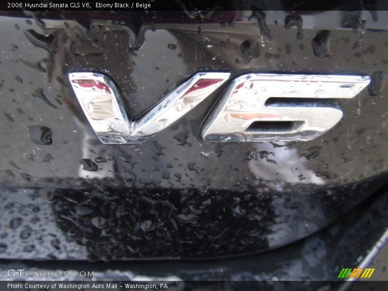 Ebony Black / Beige 2006 Hyundai Sonata GLS V6
