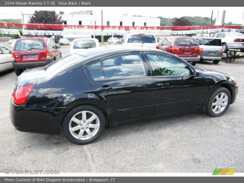 Onyx Black / Black 2004 Nissan Maxima 3.5 SE