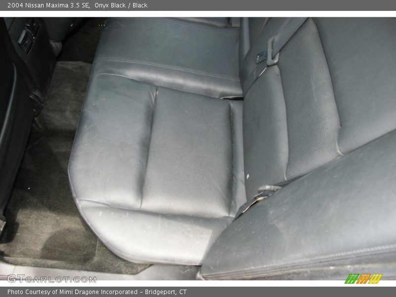 Onyx Black / Black 2004 Nissan Maxima 3.5 SE