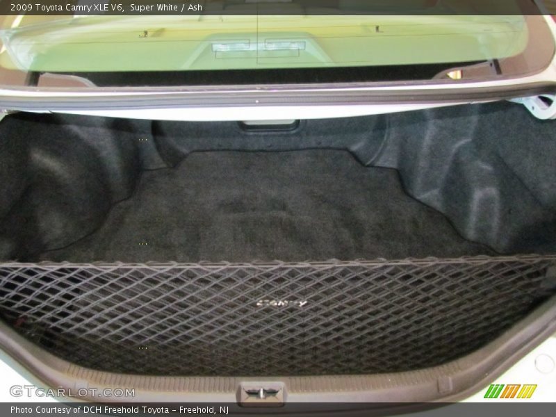 Super White / Ash 2009 Toyota Camry XLE V6