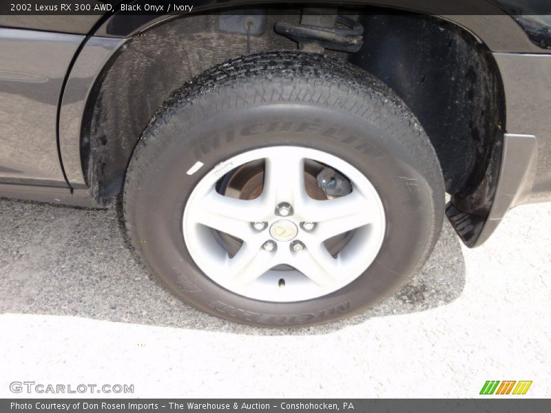 Black Onyx / Ivory 2002 Lexus RX 300 AWD