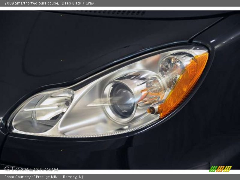 Deep Black / Gray 2009 Smart fortwo pure coupe