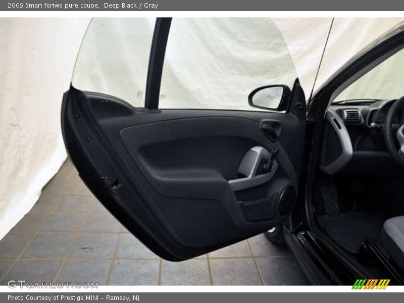Door Panel of 2009 fortwo pure coupe