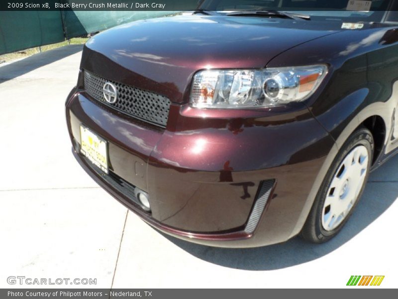 Black Berry Crush Metallic / Dark Gray 2009 Scion xB